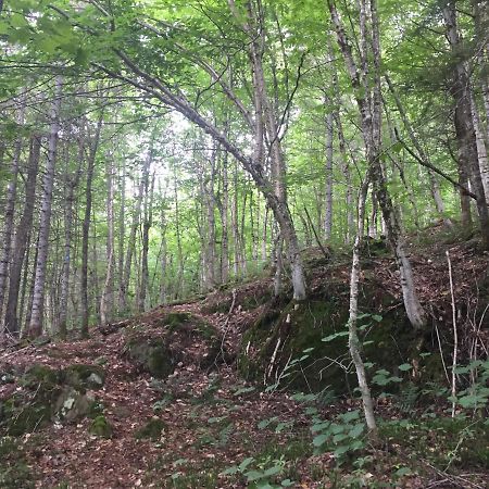 Chalet Nature Laurentides Val-des-Lacs Kültér fotó