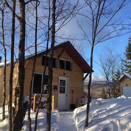 Chalet Nature Laurentides Val-des-Lacs Kültér fotó