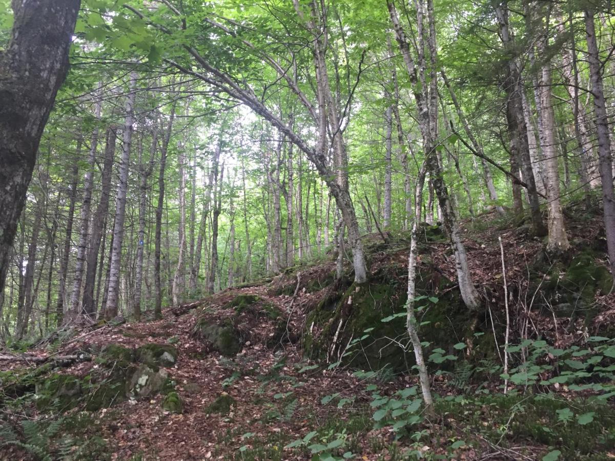 Chalet Nature Laurentides Val-des-Lacs Kültér fotó